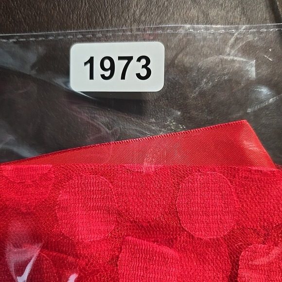 Music Legs Mesh Polka Dot Babydoll And G-String Women Size Q 16-18 D/DD Red Lace - Picture 12 of 12